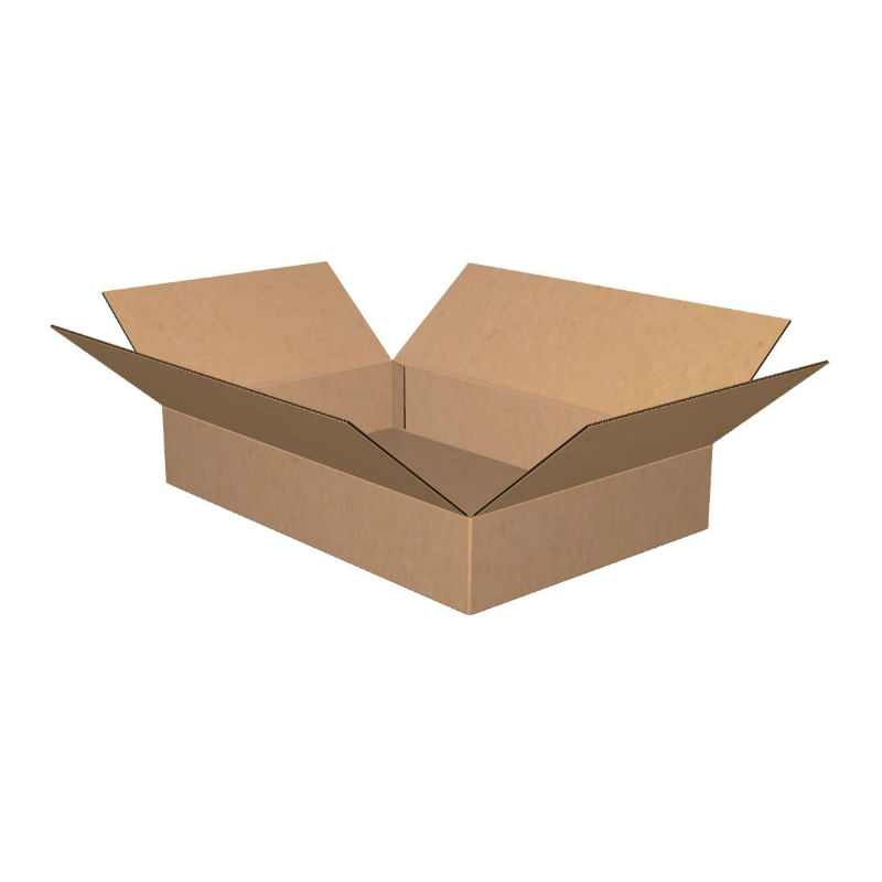 Box 24x16x4 32C Kraft 25/250 - Whitebird