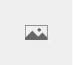 177710-800-auto.webp